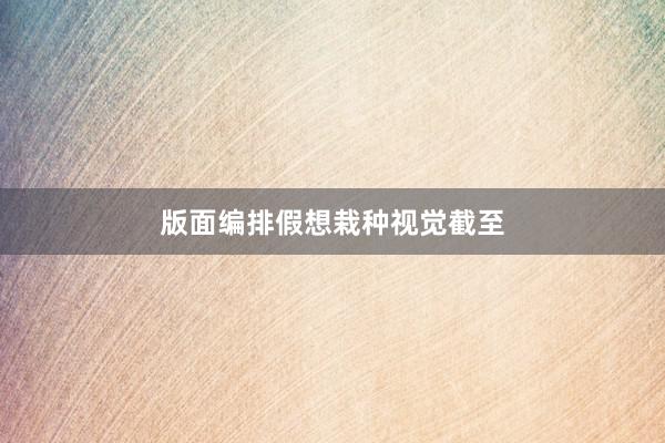 版面编排假想栽种视觉截至